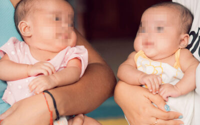 Our nursery is filled with new little guests: the arrivals of the last few months in the Family Home